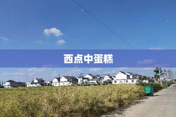 西点中蛋糕