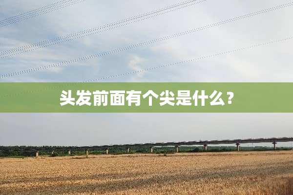 头发前面有个尖是什么？