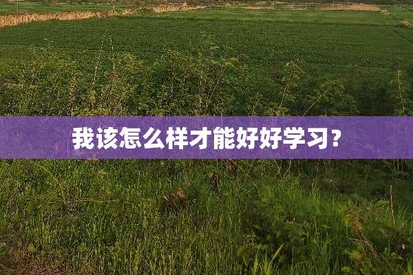 我该怎么样才能好好学习？
