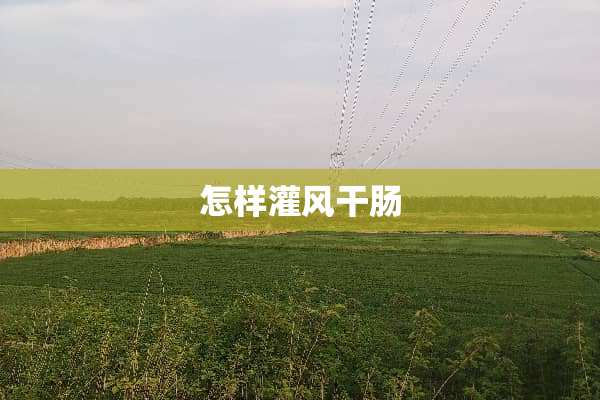 怎样灌风干肠
