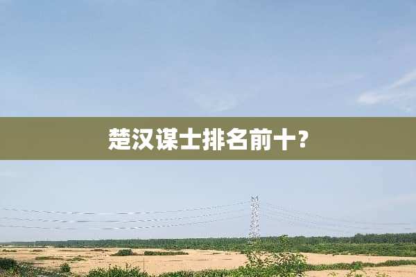 楚汉谋士排名前十？