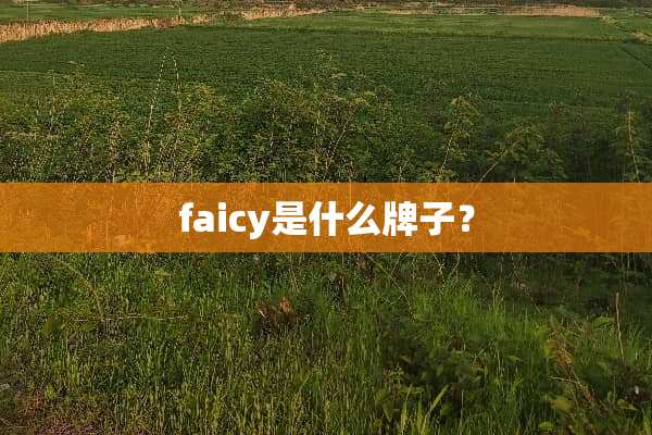 faicy是什么牌子？