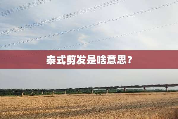 泰式剪发是啥意思？