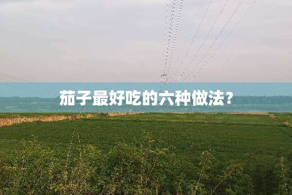 茄子最好吃的六种做法？