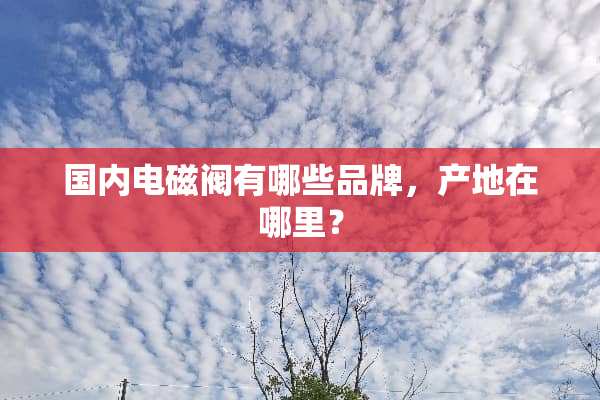 国内电磁阀有哪些品牌，产地在哪里？