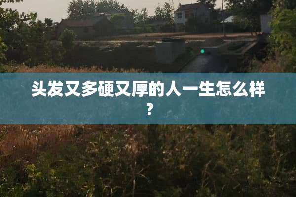 头发又多硬又厚的人一生怎么样？