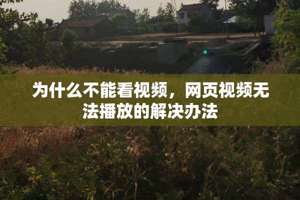 为什么不能看视频，网页视频无法播放的解决办法