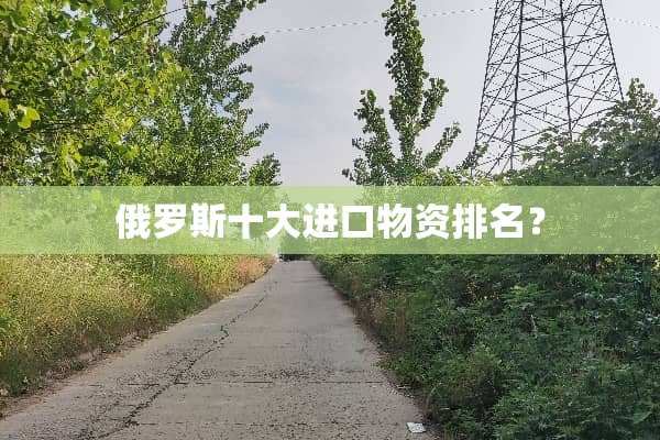 俄罗斯十大进口物资排名？