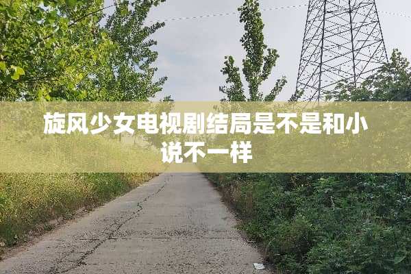旋风少女电视剧结局是不是和小说不一样