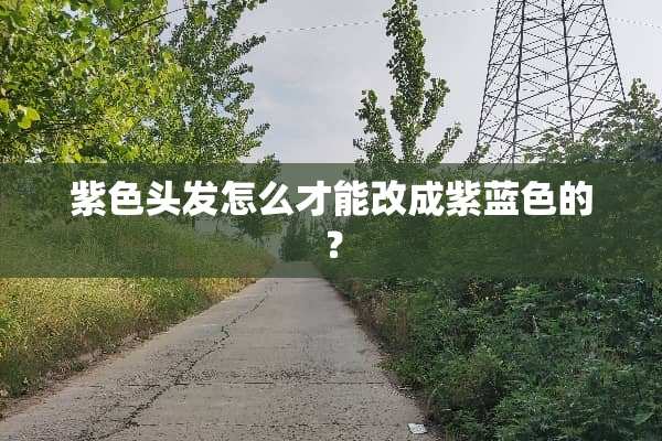 紫色头发怎么才能改成紫蓝色的？