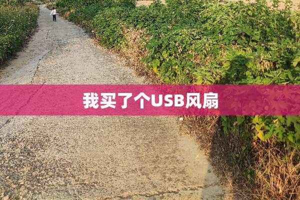 我买了个USB风扇