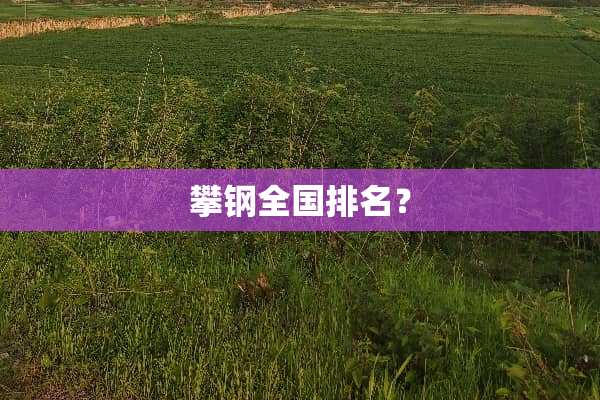攀钢全国排名？