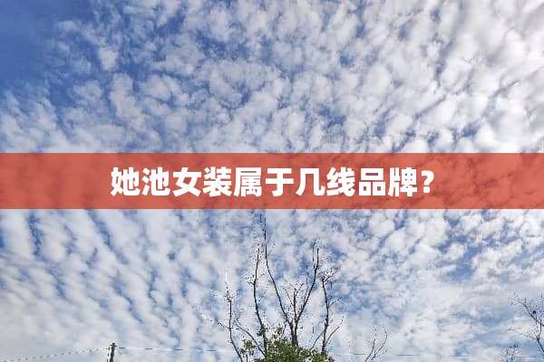 她池女装属于几线品牌？