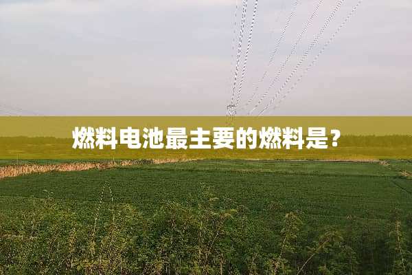 燃料电池最主要的燃料是？