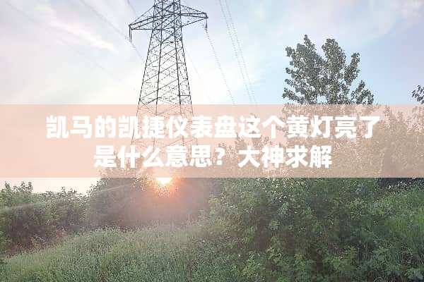 凯马的凯捷仪表盘这个黄灯亮了是什么意思？大神求解