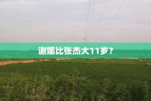谢娜比张杰大11岁？