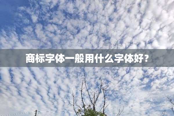商标字体一般用什么字体好？