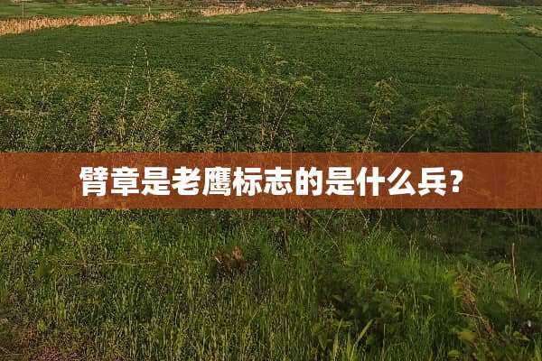臂章是老鹰标志的是什么兵？