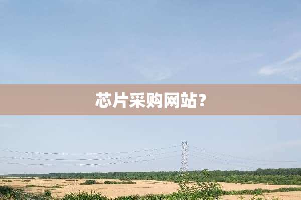 芯片采购网站？