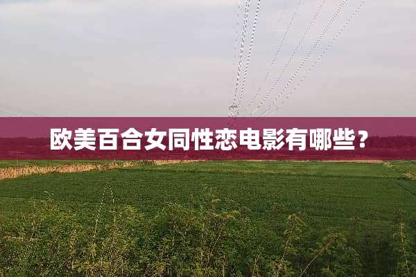 欧美百合女同性恋电影有哪些？