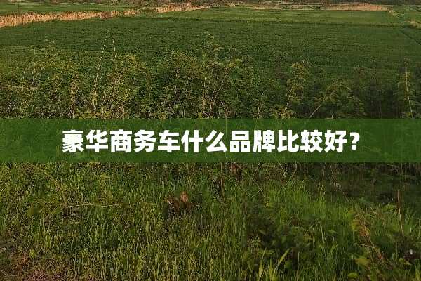 豪华商务车什么品牌比较好？