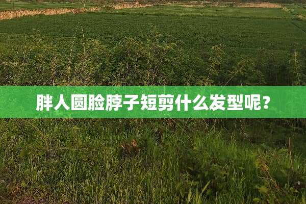胖人圆脸脖子短剪什么发型呢？