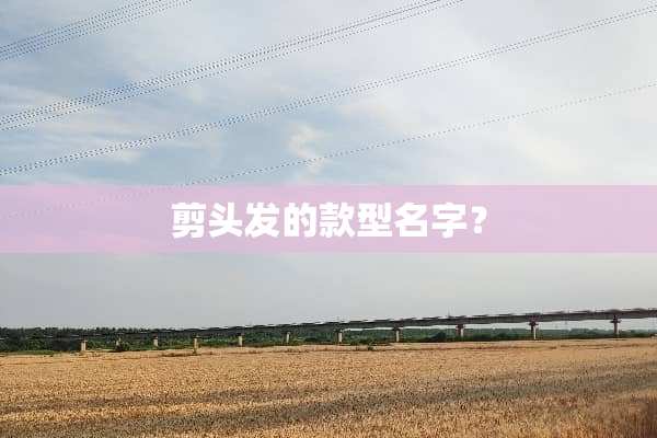 剪头发的款型名字？