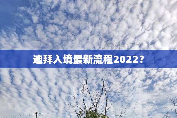 迪拜入境最新流程2022？