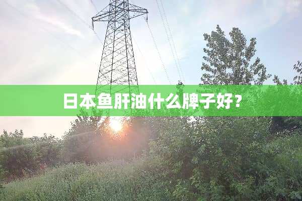 日本鱼肝油什么牌子好？