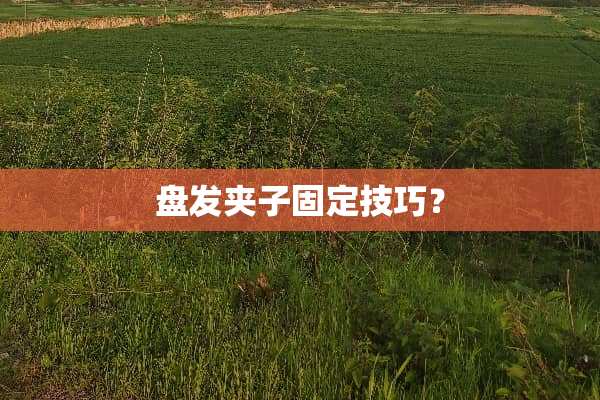 盘发夹子固定技巧？