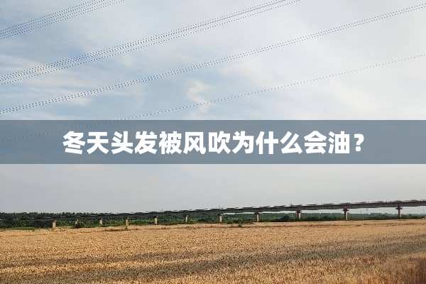 冬天头发被风吹为什么会油？