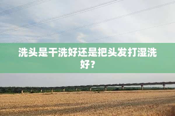 洗头是干洗好还是把头发打湿洗好？