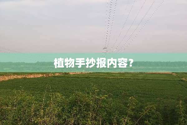 植物手抄报内容？