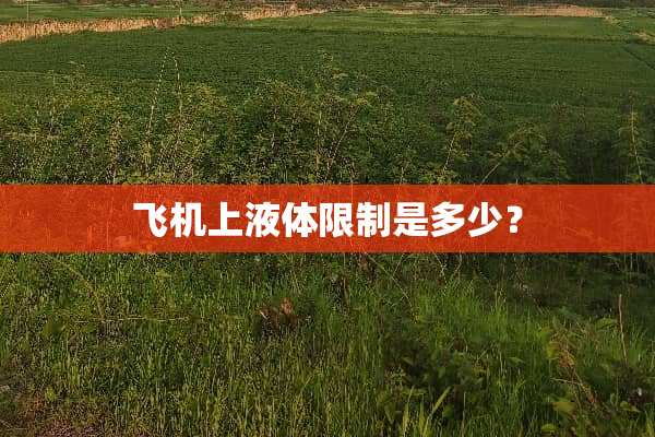 飞机上液体限制是多少？