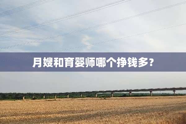 月嫂和育婴师哪个挣钱多？