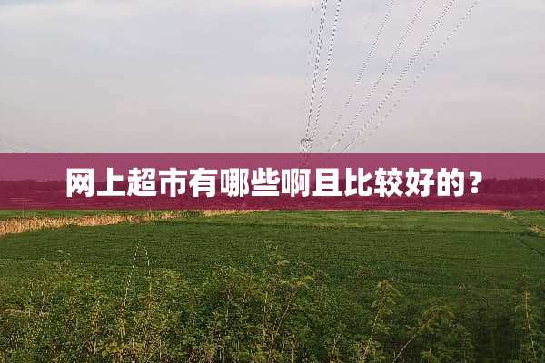 网上超市有哪些啊且比较好的？