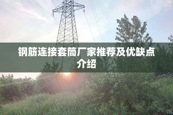 钢筋连接套筒厂家推荐及优缺点介绍