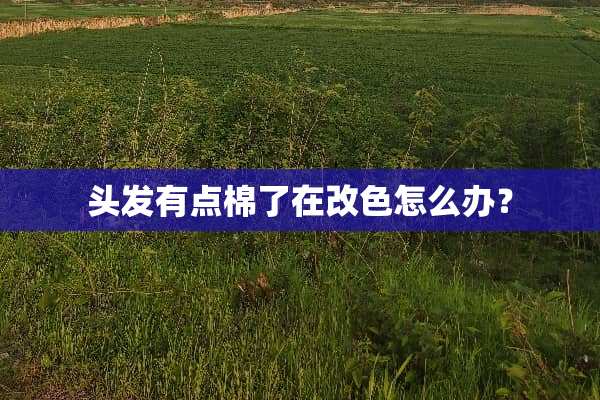 头发有点棉了在改色怎么办？