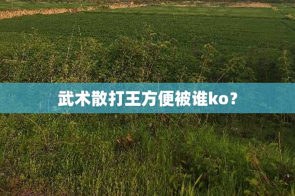 武术散打王方便被谁ko？