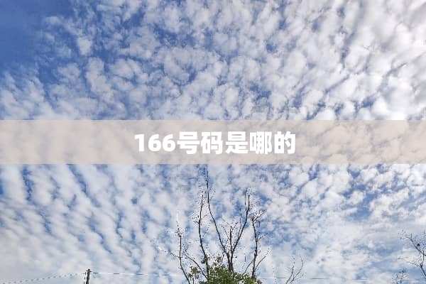 166号码是哪的
