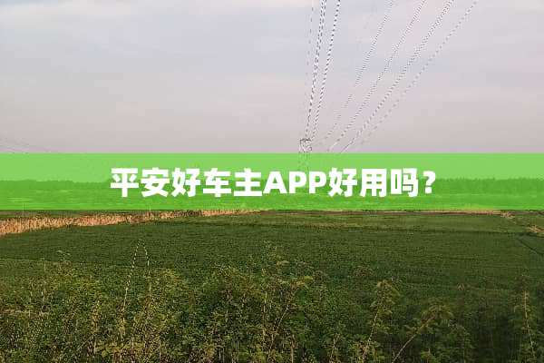 平安好车主APP好用吗？