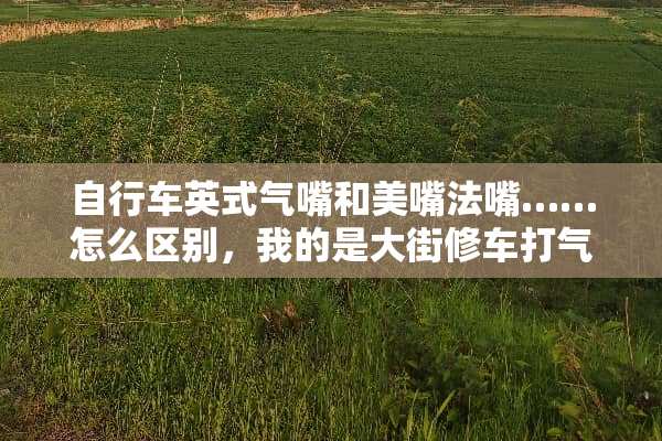 自行车英式气嘴和美嘴法嘴……怎么区别，我的是大街修车打气筒都能大的那种，是啥？
