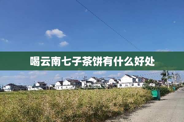 喝云南七子茶饼有什么好处