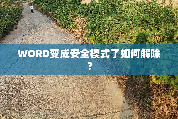 WORD变成安全模式了如何解除？