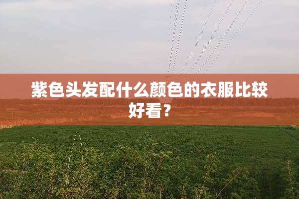 紫色头发配什么颜色的衣服比较好看？