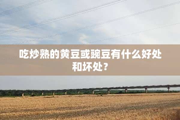 吃炒熟的黄豆或豌豆有什么好处和坏处？