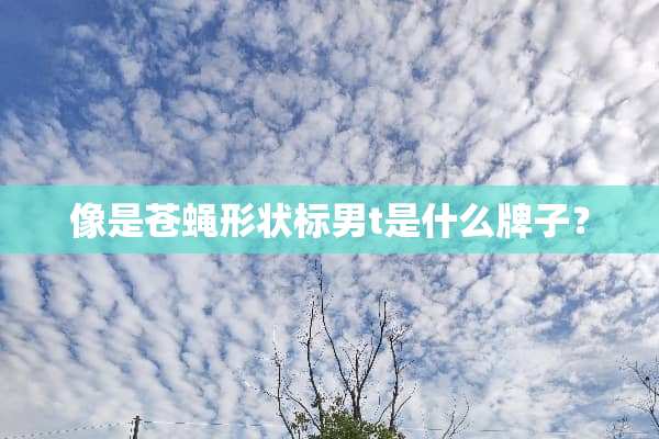 像是苍蝇形状标男t是什么牌子？