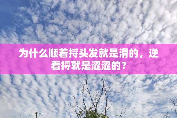 为什么顺着捋头发就是滑的，逆着捋就是涩涩的？