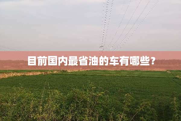 目前国内最省油的车有哪些？