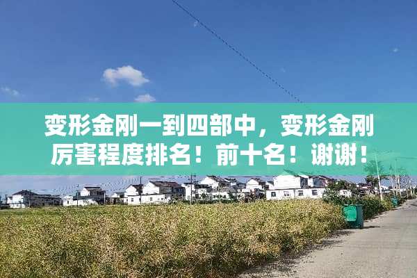 变形金刚一到四部中，变形金刚厉害程度排名！前十名！谢谢！